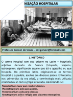 Organização Hospitalar.pdf