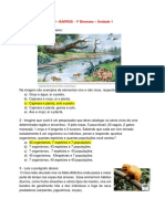 Ecossistema Mata Atlântica