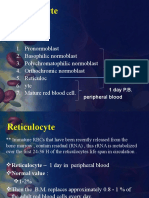 5 Reticuolocyte Count