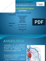 Anatomia Exposcion