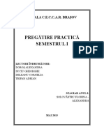 ANUL I - Pregatire Practica Semestrul I 2015