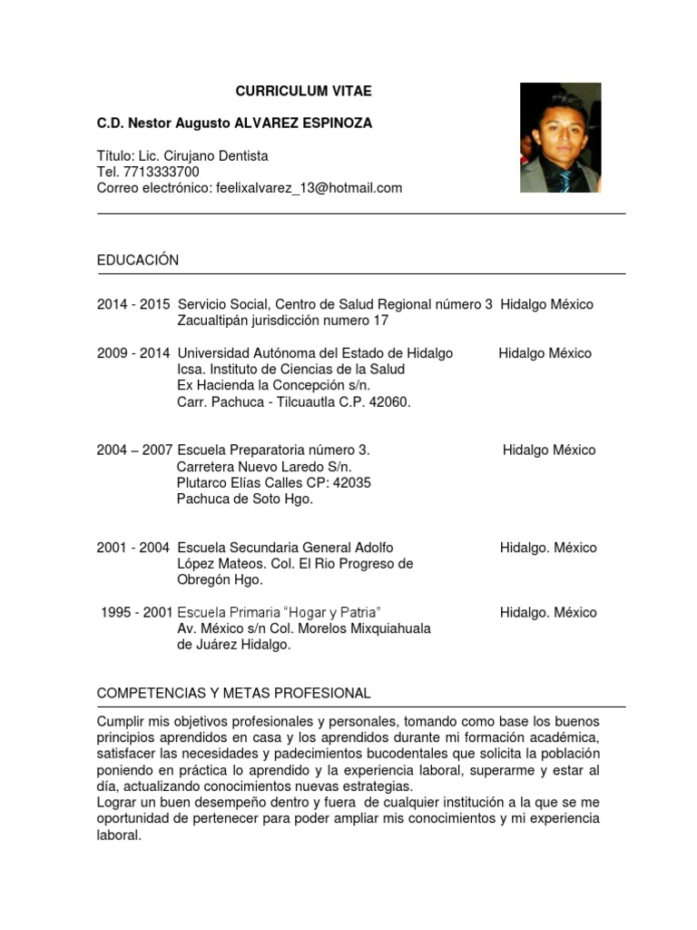 Curriculum vitae format in word picture