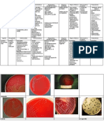 Bacteriología