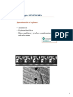 LABCATAL_infecciones_respiratorias