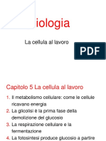 La Cellula Al Lavoro