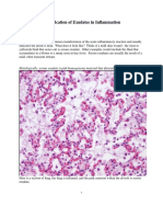 Identification of Exudates in Inflammation...