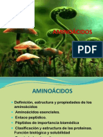 Aminoacidos