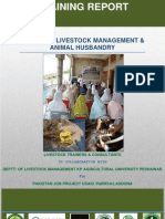 Training On Livestock Management