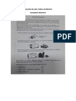 Análisis de Una Tarea Auténtica Wilber