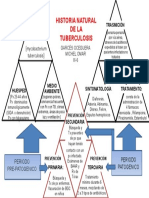 Mapa Historia Natural de La Tuberculosis