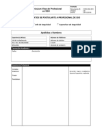 For-SSO-031 Curriculum Vitae Profesional en SSO