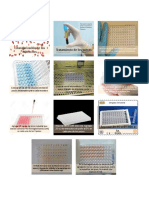 Diagrama InhibicióndeHemaglutinación