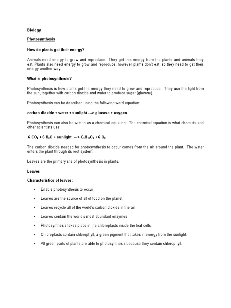 Biology Photosynthesis How Do Plants Get Their Energy? PDF Leaf Photosynthesis