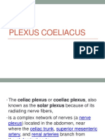 Plexus Coeliacus