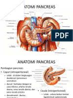 Anatomi Pancreas