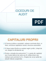 Proceduri de Audit