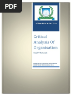 Critical Analysis of Organisation: PGDM BATCH: 2017-19