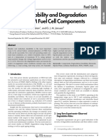 Bruijn Et Al-2008-Fuel Cells