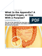 What Is The Appendix? A Vestigial Organ, or One With A Purpose?