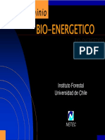 09_Biocombustibles-NETEC.pdf