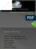 The Blue-Sided Tree Frog2