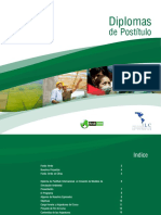 Brochure Diploma Creacion Modelos Simulacion Ambiental FV