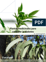 Daniel Rangel Barón: Plantas Medicinales para Controlar La Diabetes