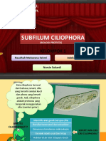 Subfilum Ciliophora