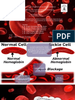 Trabajo de Curso de Hematologia Final Terminado