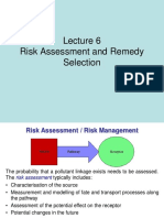 Risk Assessment and Remedy Selection