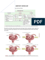 Kidney Disease