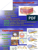 2 tejido epitelial