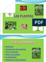 CLASE 3 PARTES DE LA PLANTA RAIZ-TALLO (1).ppt