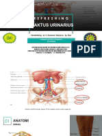 REFRESHING TRAKTUS URINARIUS.pptx