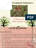 Cabe Rawit (Capsicum Frutescens L