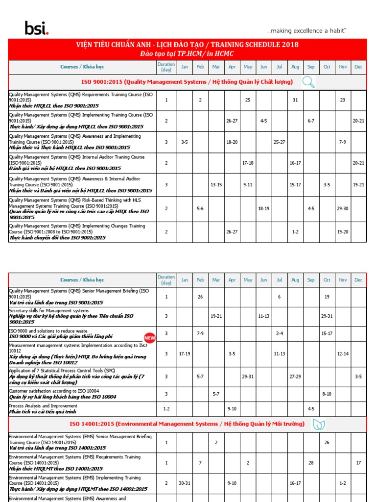 Training Plan For BSI PDF