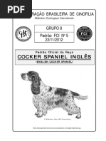 Fender 65 Twin Reverb Manual