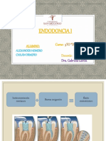 Sustancias Irrigadoras Alexander Ormeño- Endodoncia