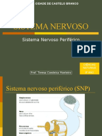 06snsistema-nervoso-perifricotc0809-1233349052789461-1