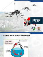 Capacitacion Dengue