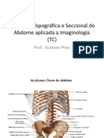 Anatomia Topográfica e Seccional Do Abdome Aplicada PDF