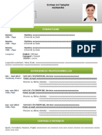 24 Modele CV Attrayant Vert