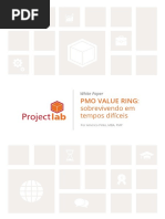 eBook - PMO VALUE RING Sobrevivendo Em Tempos Difíceis