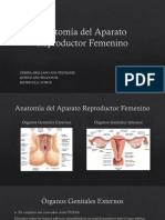 Anatomía del Aparato Reproductor Femenino Stephanie Urbina.pptx