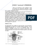 Diseminaciones y Porfidos