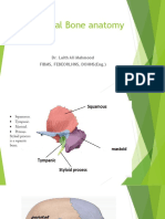 Temporal Bone Anatomy