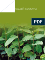 Caracterizacion de Las Plantas