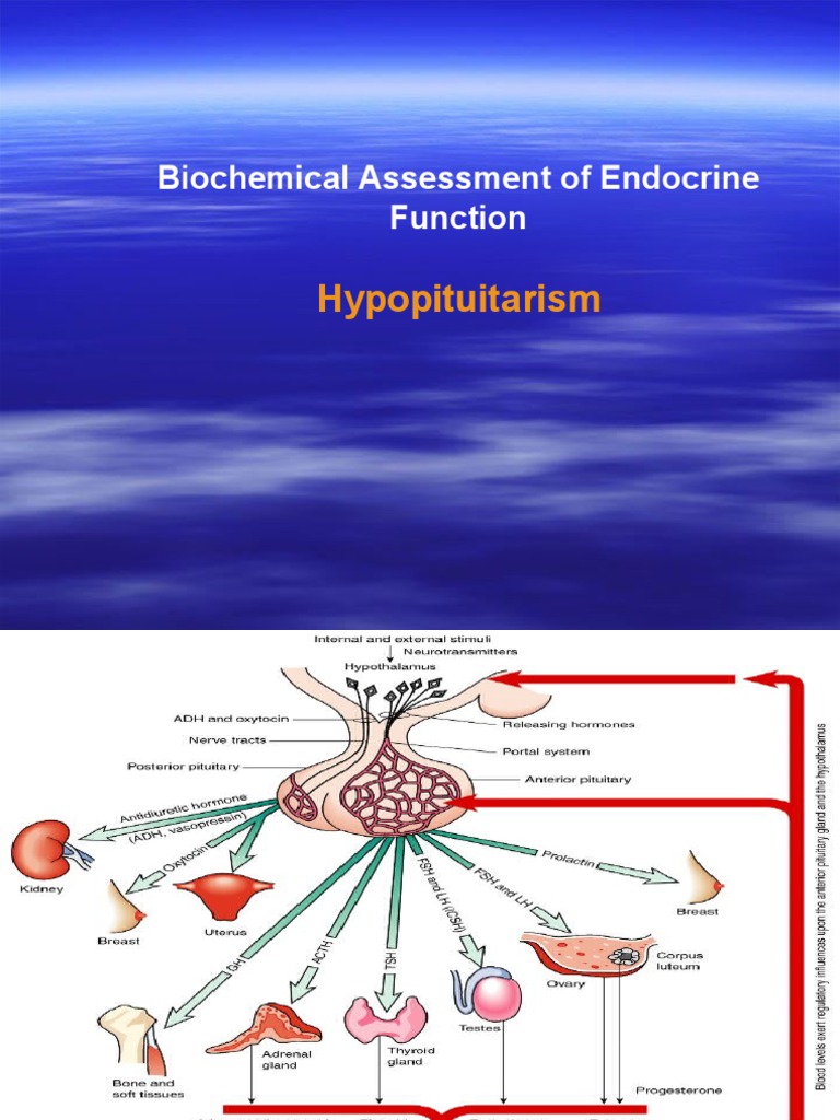 Endocrine Tests | PDF