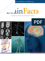 Brain Facts.pdf