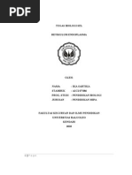 Download makalah retikulum endoplasma by Ika Sartika SN39729415 doc pdf